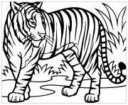 Coloriage tigre sauvage dans la nature