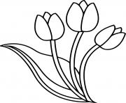 Coloriage trois fleurs tulipes
