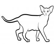 Coloriage oriental shorthair est une race de chat originaire de la Thailande