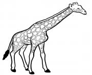Coloriage girafe mammifere de la savane africaine