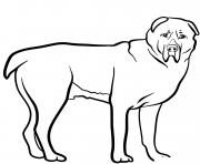 Coloriage Central Asian Shepherd Dog