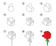 Coloriage apprendre a dessiner une rose