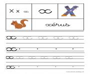 Coloriage lettre X pour Xerus ecriture cursive gs