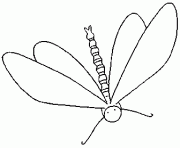 Coloriage dessin d une libellule
