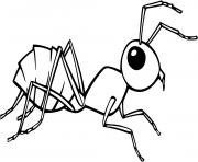 Coloriage fourmi noire realiste