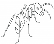 Coloriage fourmi odorante dessinpar Artsashina