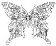 Coloriage mandala papillon