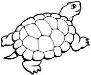 Coloriage tortue avec queue