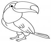 Coloriage oiseau toucan