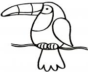 Coloriage oiseau toucan simple