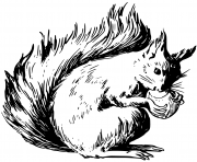 Coloriage ecureuil deguste une noisette