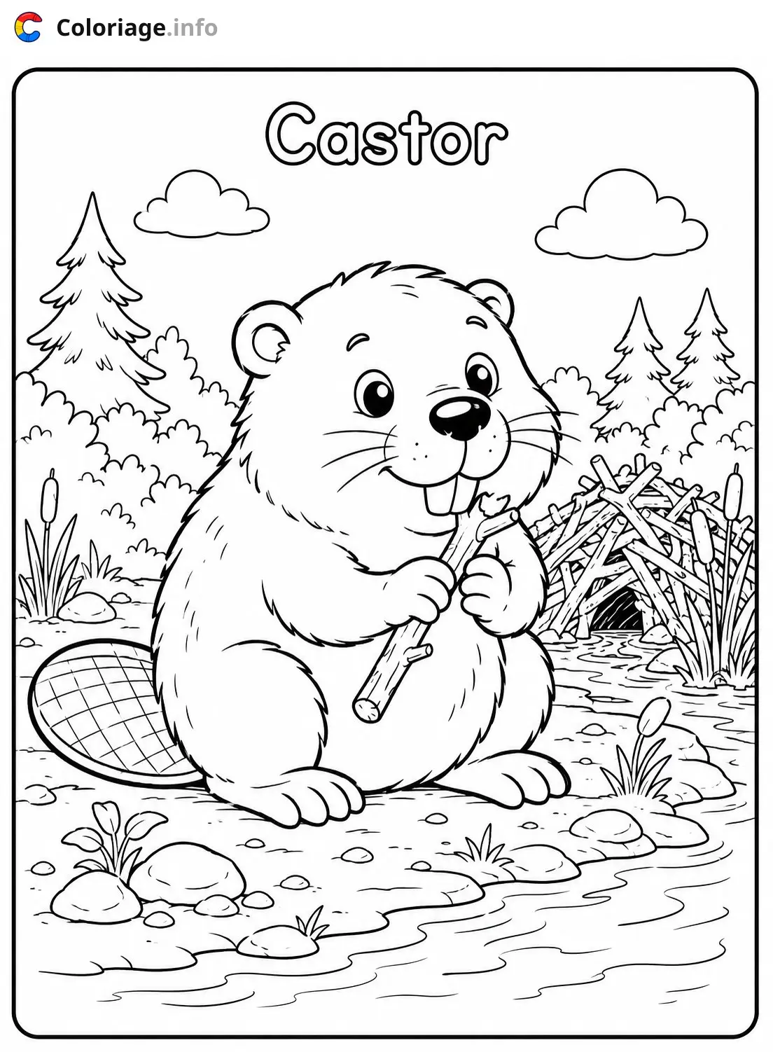 Coloriage Castor au bord de l'eau - Animaux à imprimer