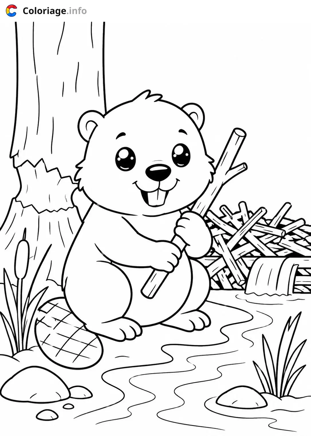 Coloriage Castor heureux près de l'eau - Animaux à imprimer