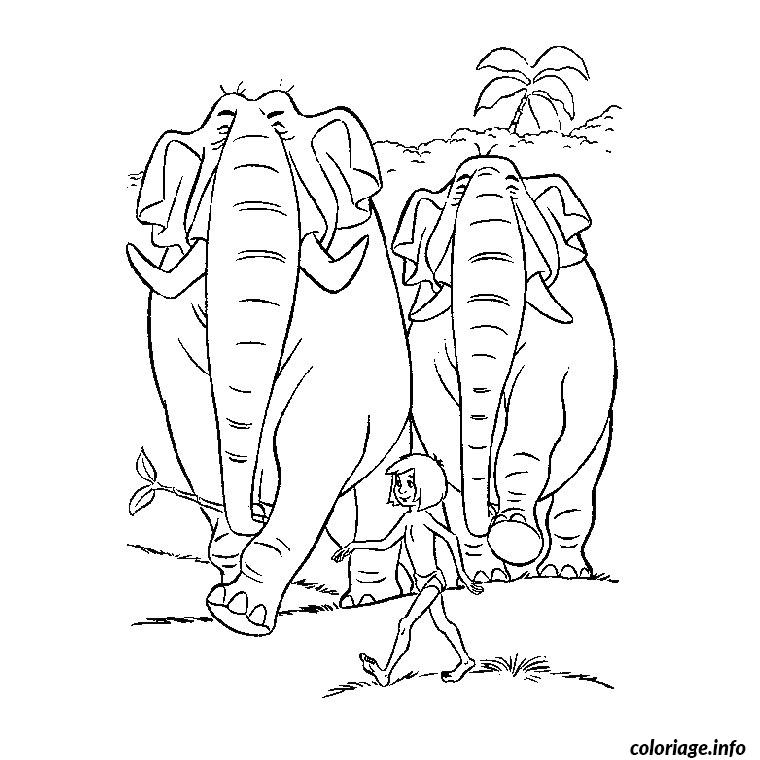 Coloriage Animaux de la jungle