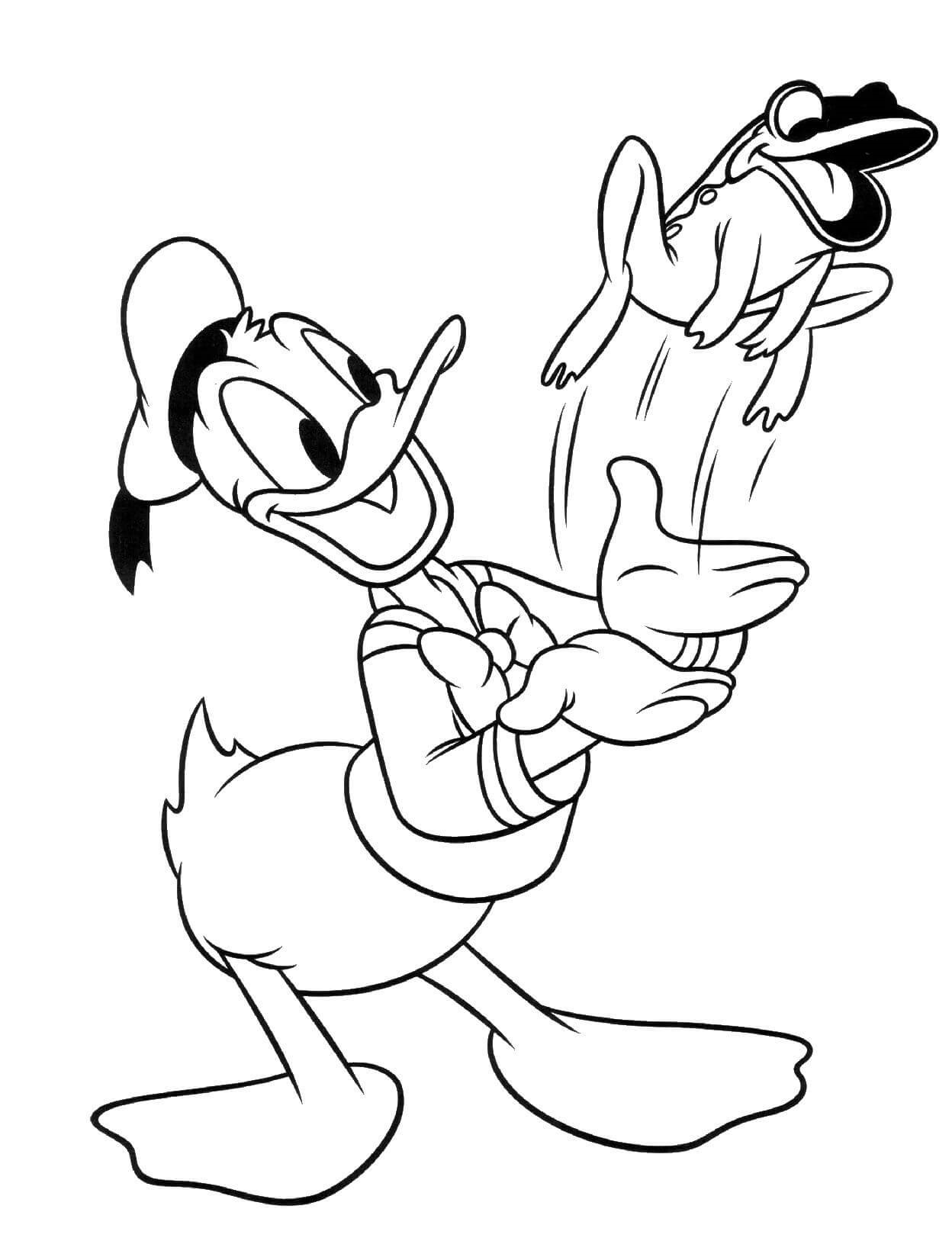 Coloriage Donald Duck avec une grenouille - Disney à imprimer