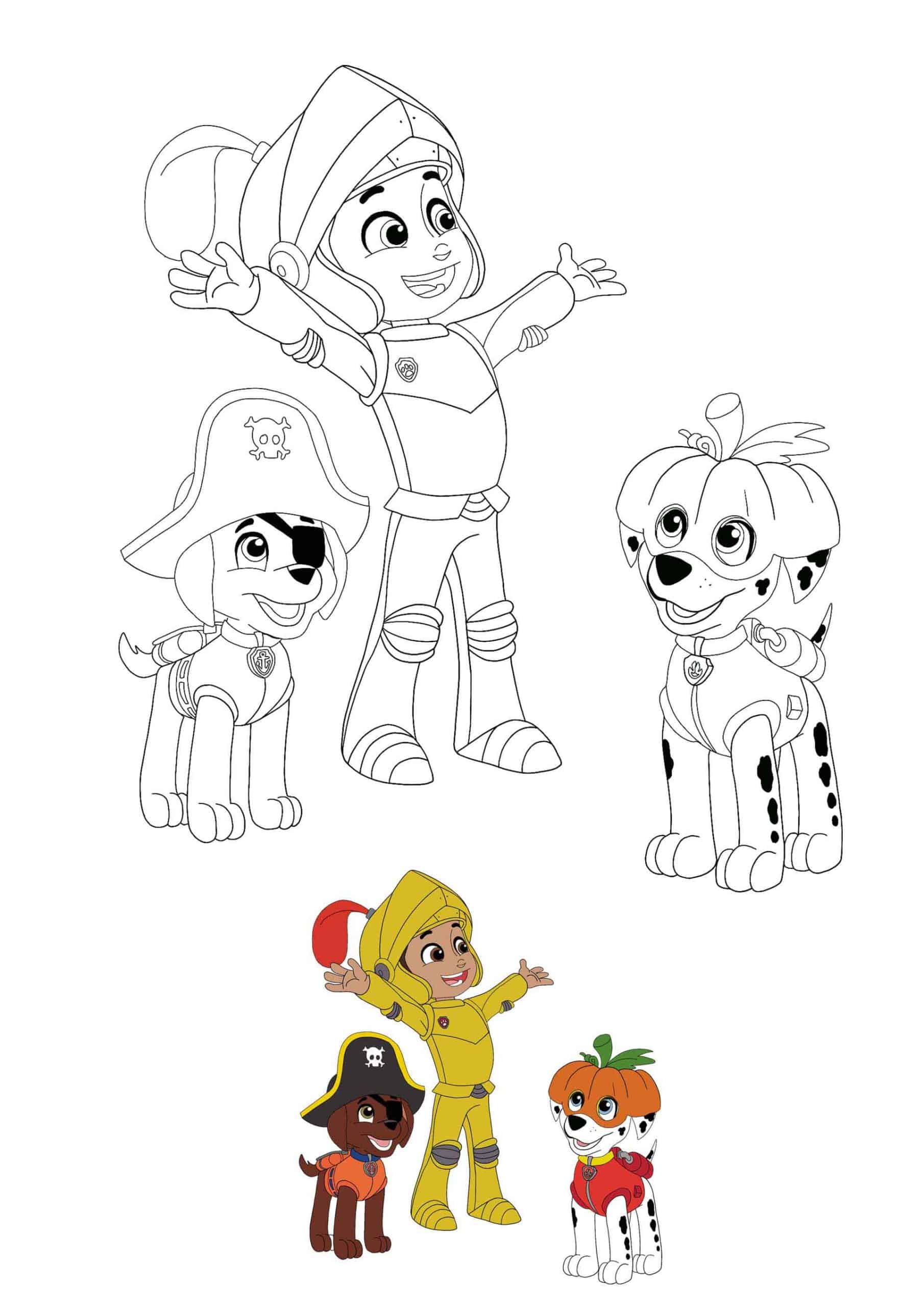 Coloriage Paw patrol