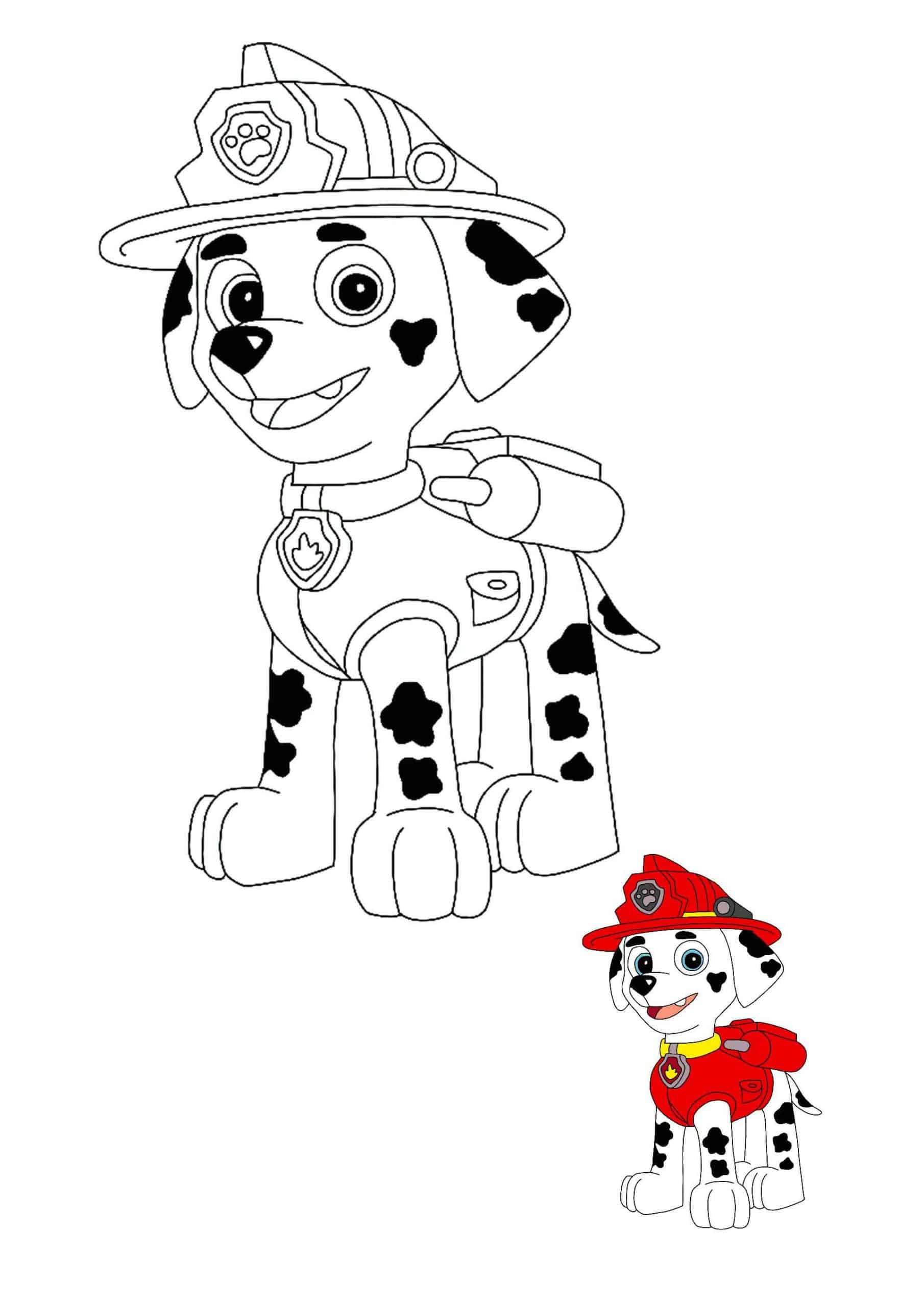 Coloriage Marcus Le Dalmatien Ambulancier - Pat patrouille à imprimer