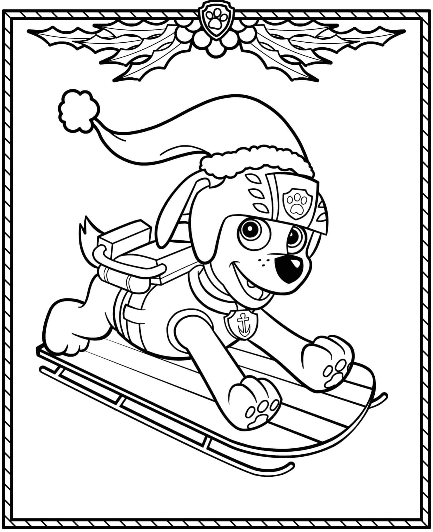 Coloriage Pat Patrouille Noël Zuma Adore L'eau - Pat patrouille à imprimer
