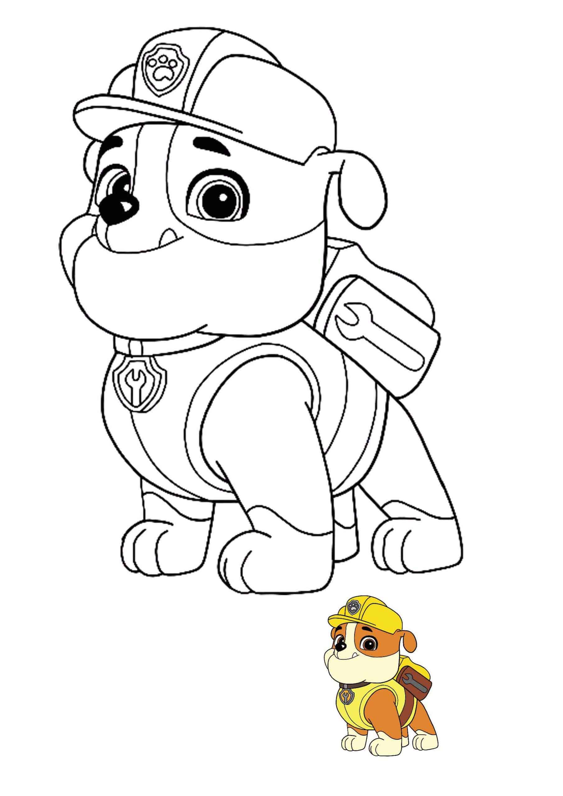 Coloriage Ruben Bulldog Anglais Possede Un Camion De Construction - Pat patrouille à imprimer