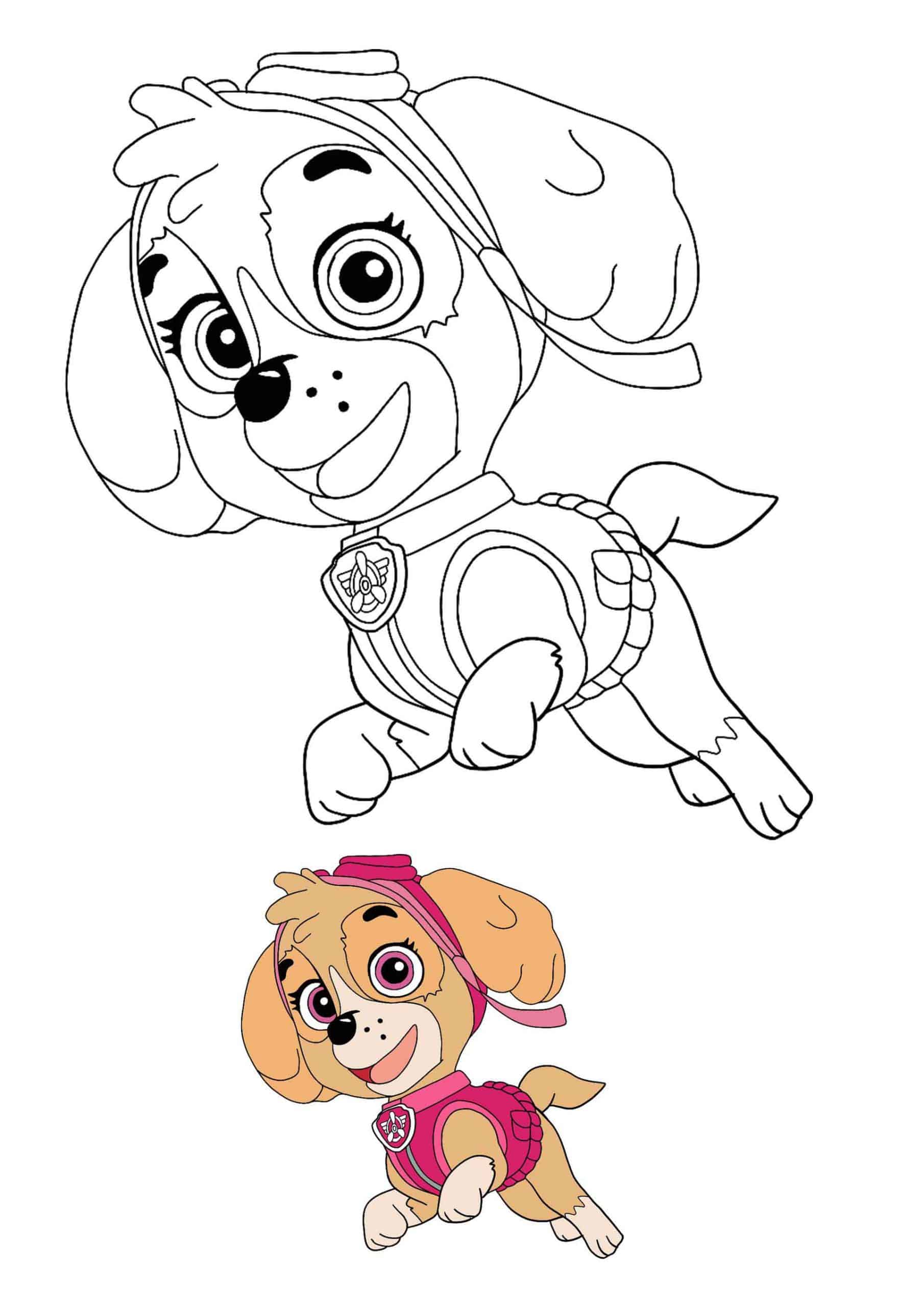 Coloriage Paw patrol