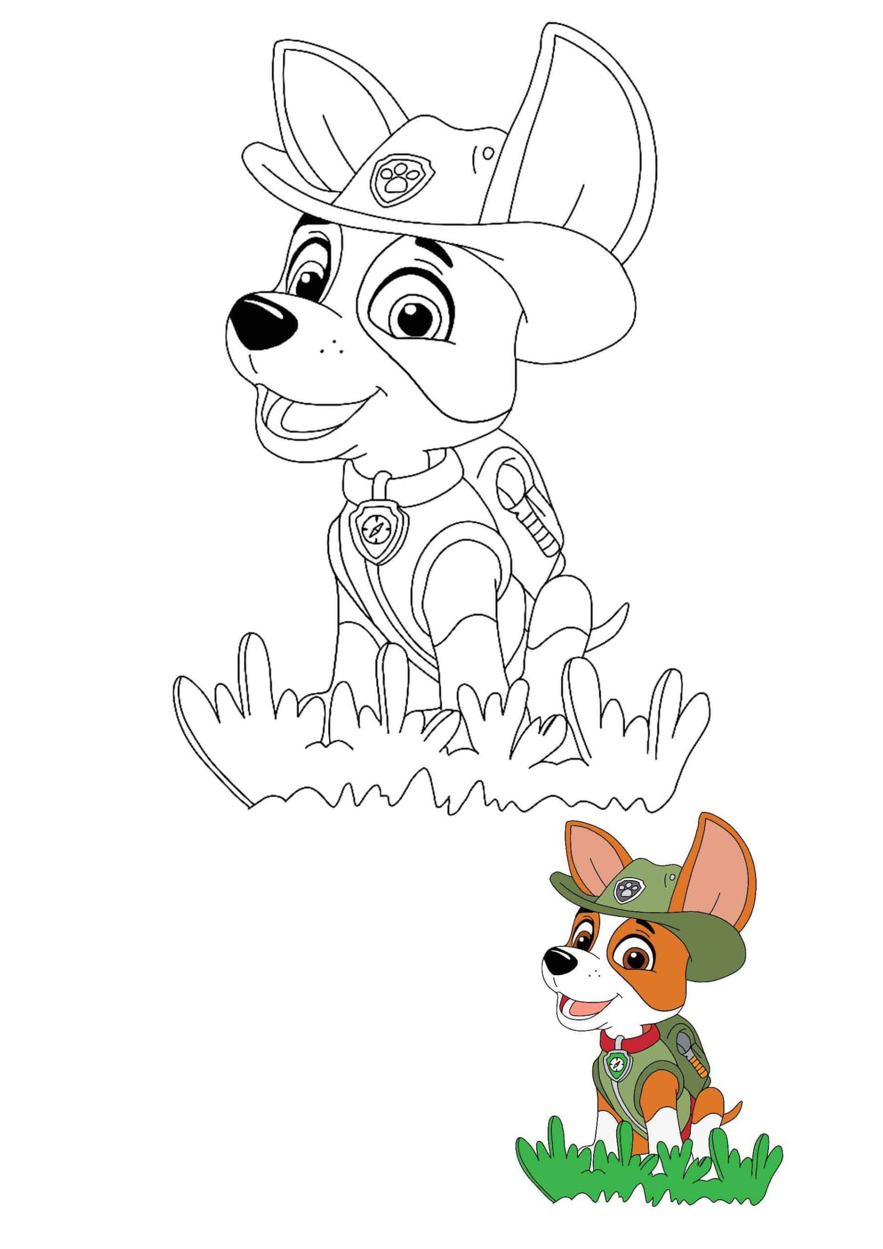 Coloriage Tracker Chihuahua Explorateur Dans La Jungle - Pat patrouille à imprimer
