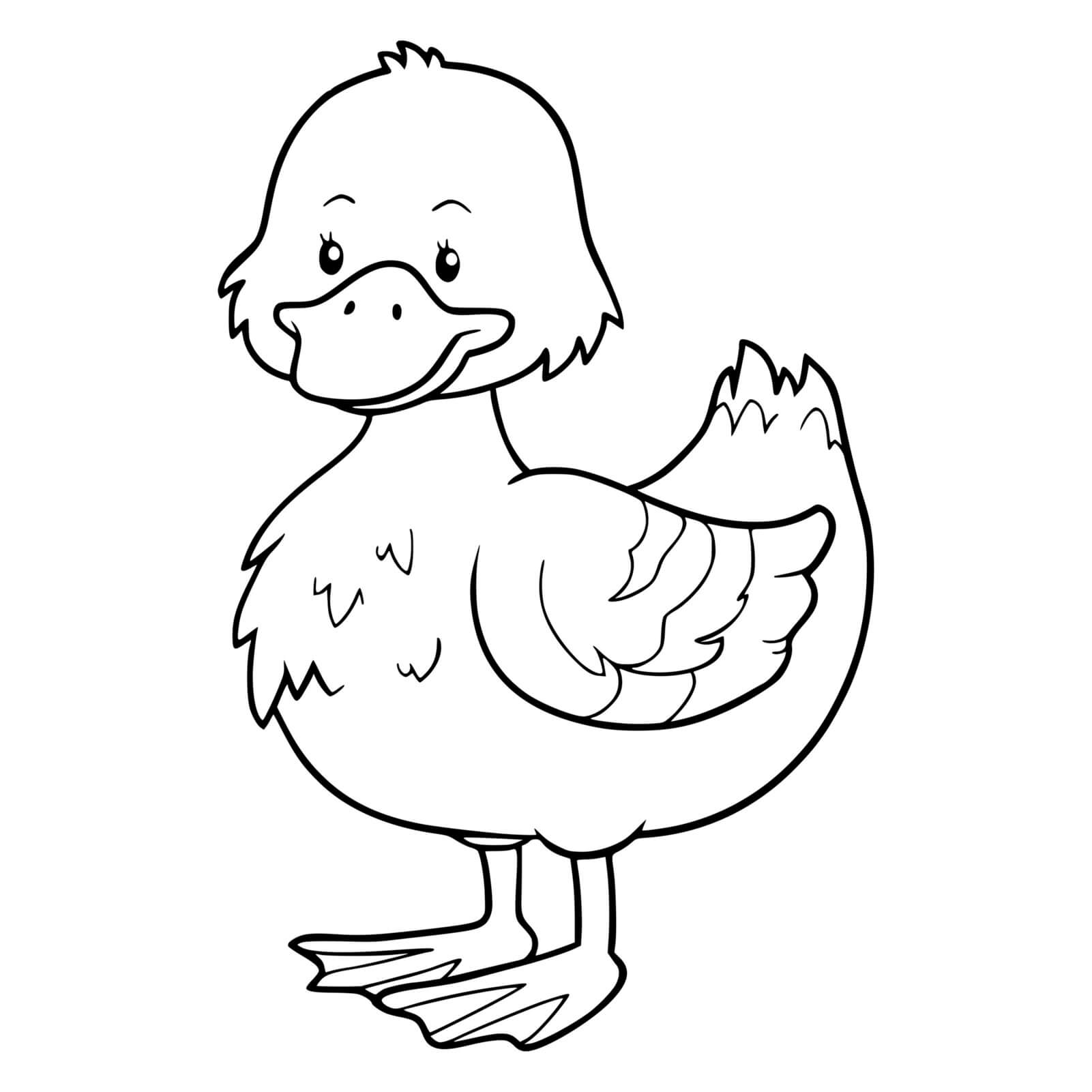 Coloriage Canard