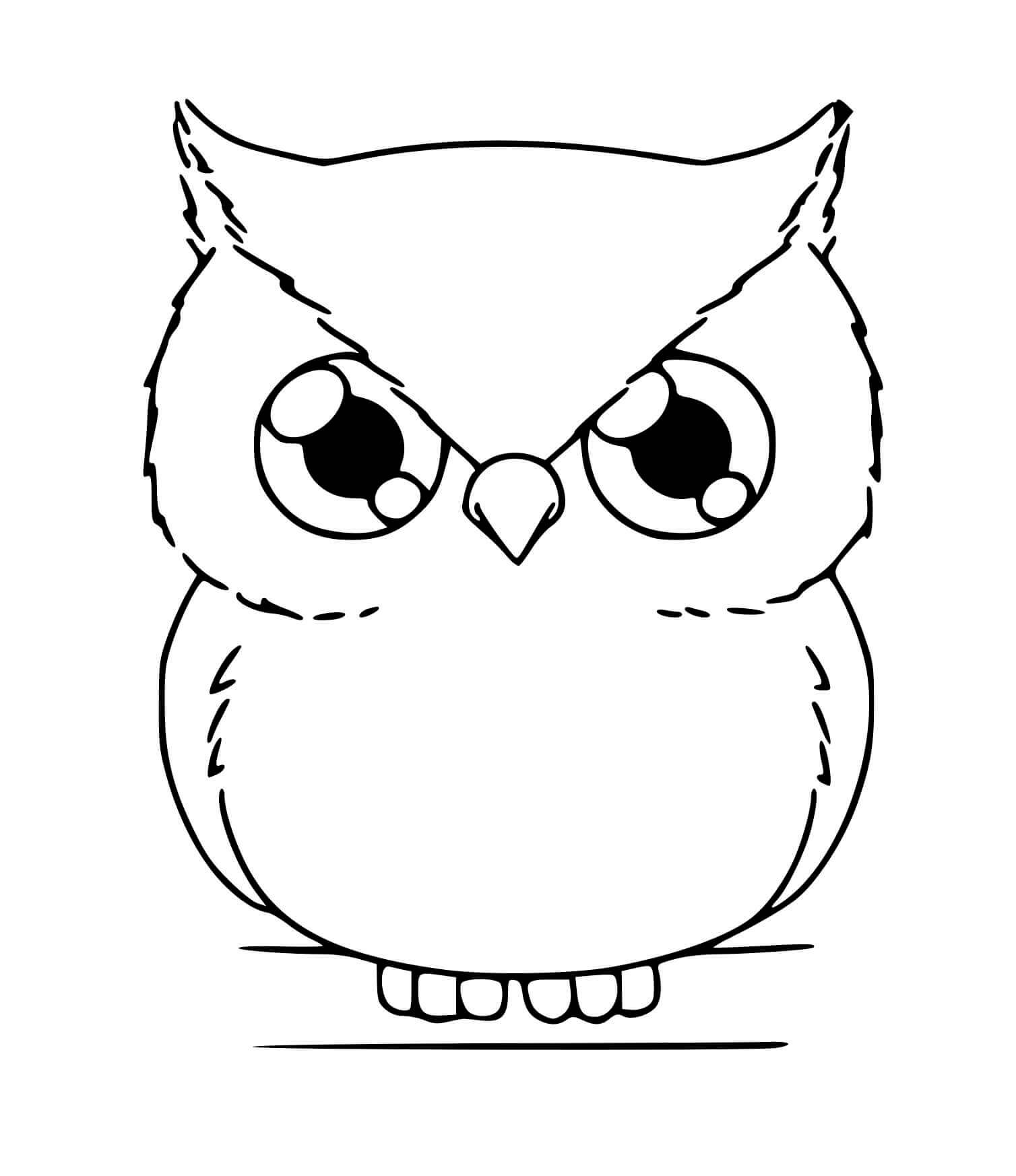 Coloriage Chouette