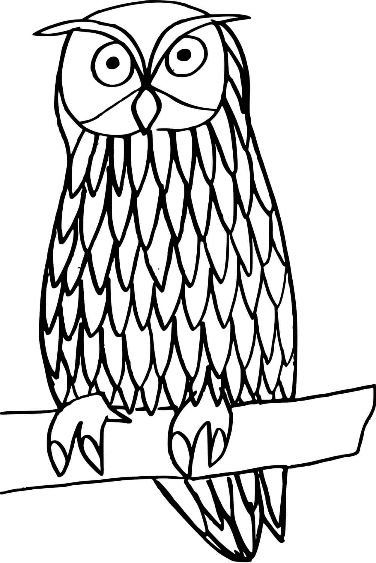 Coloriage Chouette