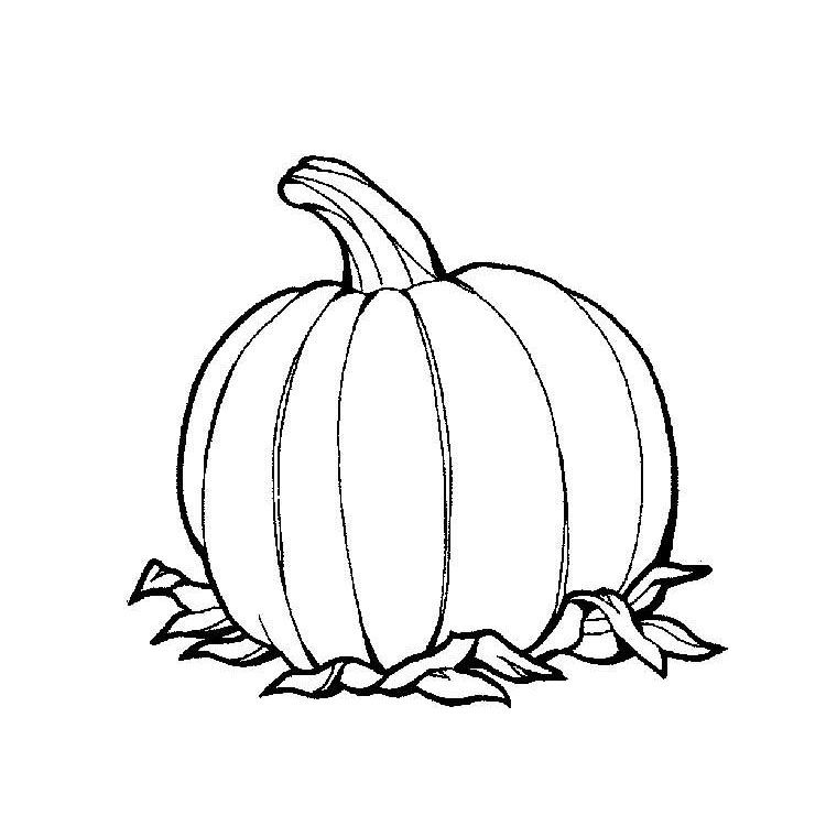 Coloriage Citrouille - Maternelle à imprimer