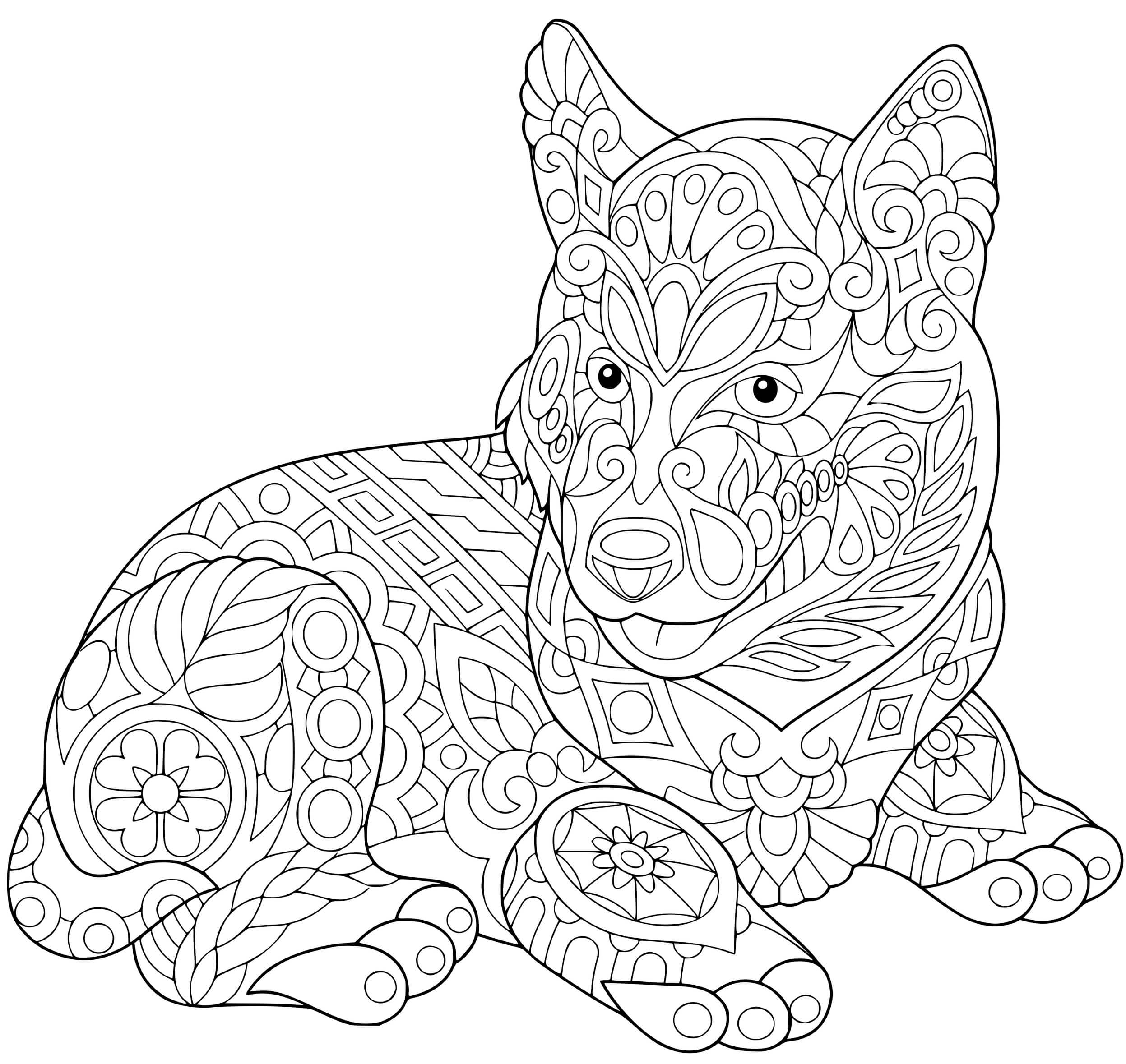 Coloriage Chien
