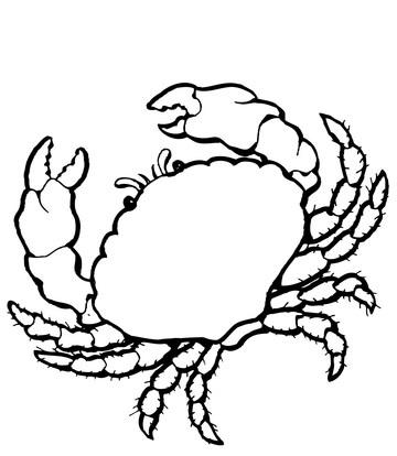 Coloriage Crabe