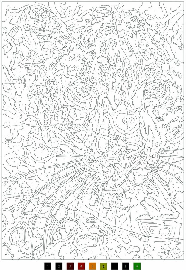 Coloriage Disney Mystere Tigre Lion Jungle - Mystere disney à imprimer