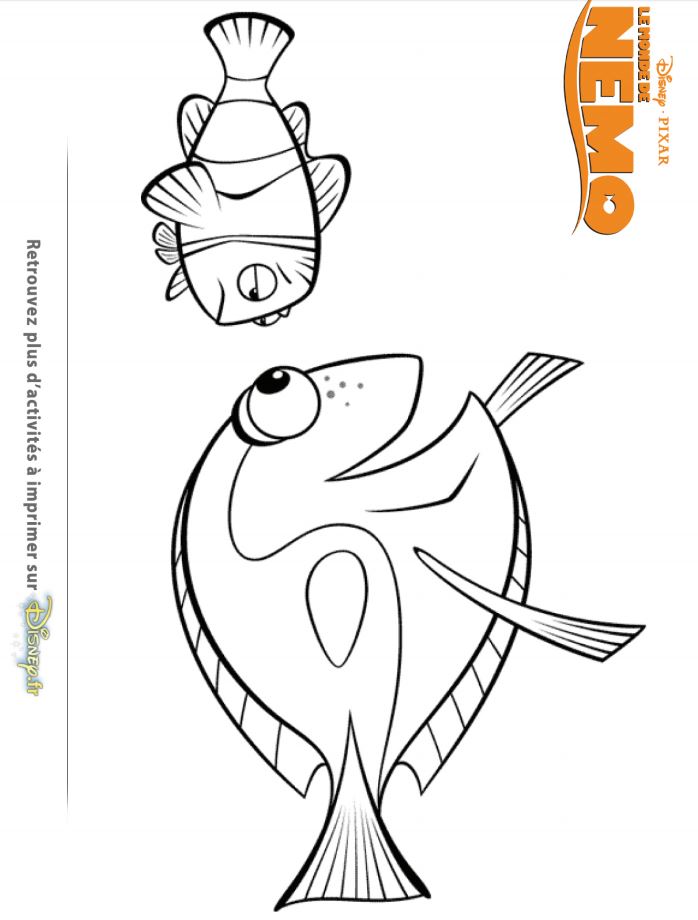Coloriage Le Monde de Dory