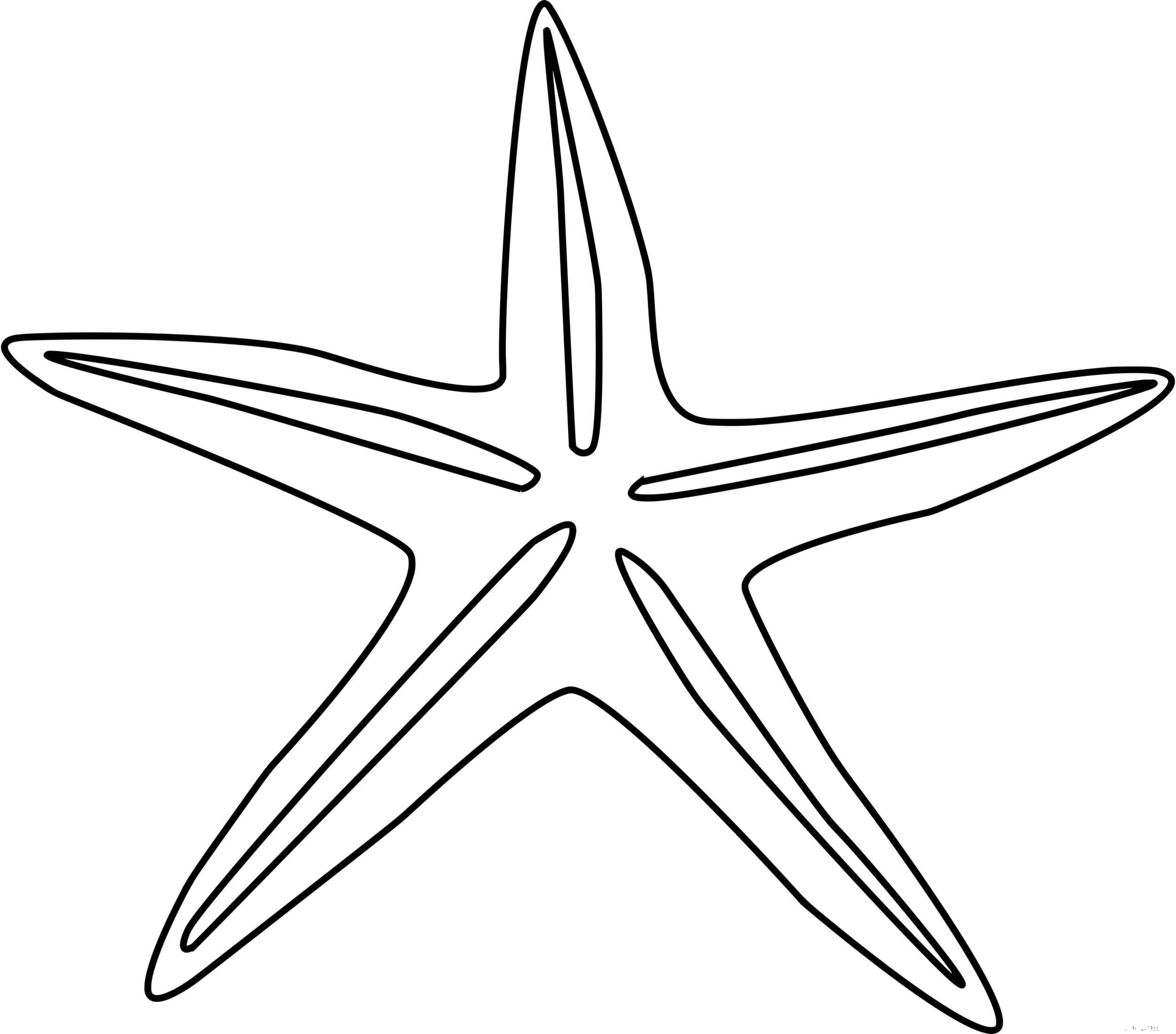 Coloriage Étoile de mer