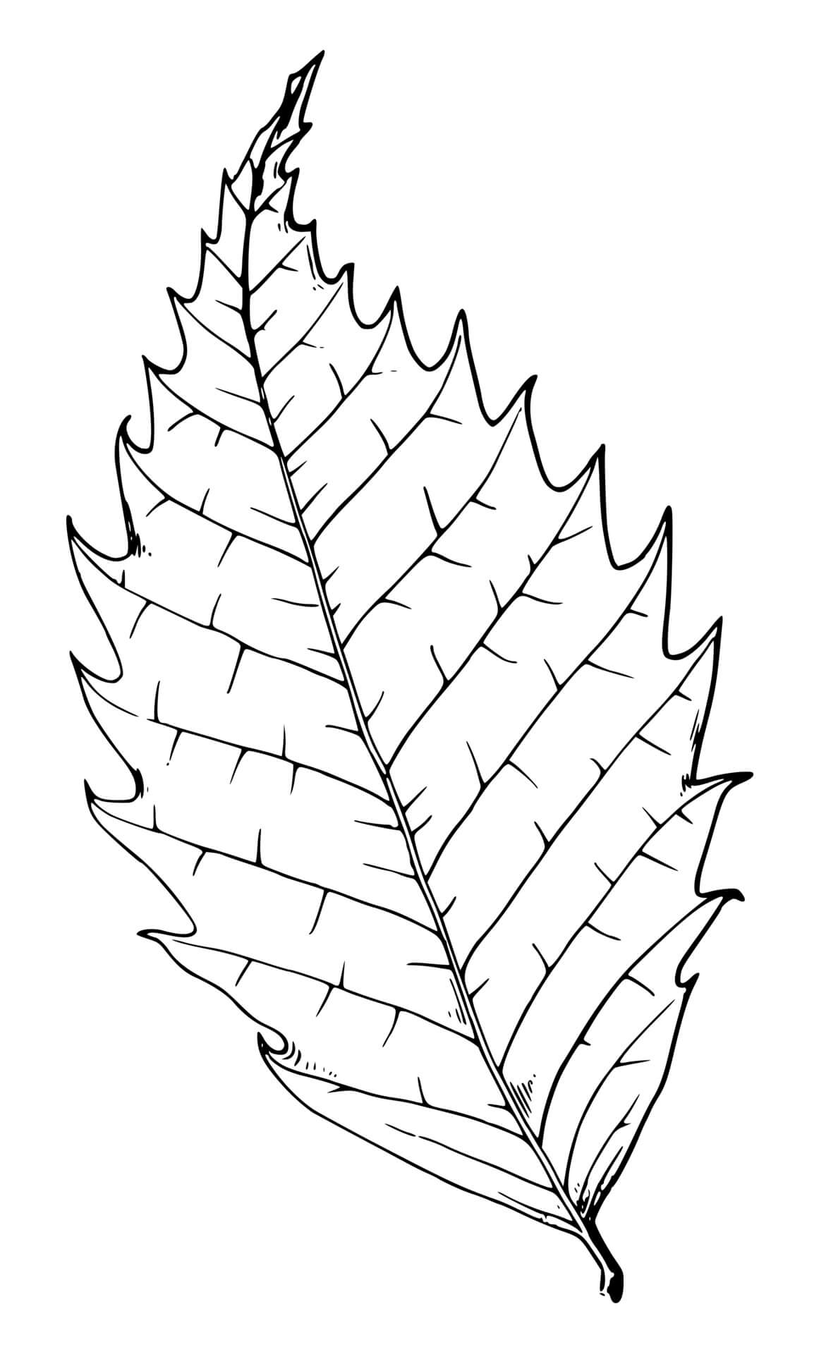 Coloriage Feuille automne