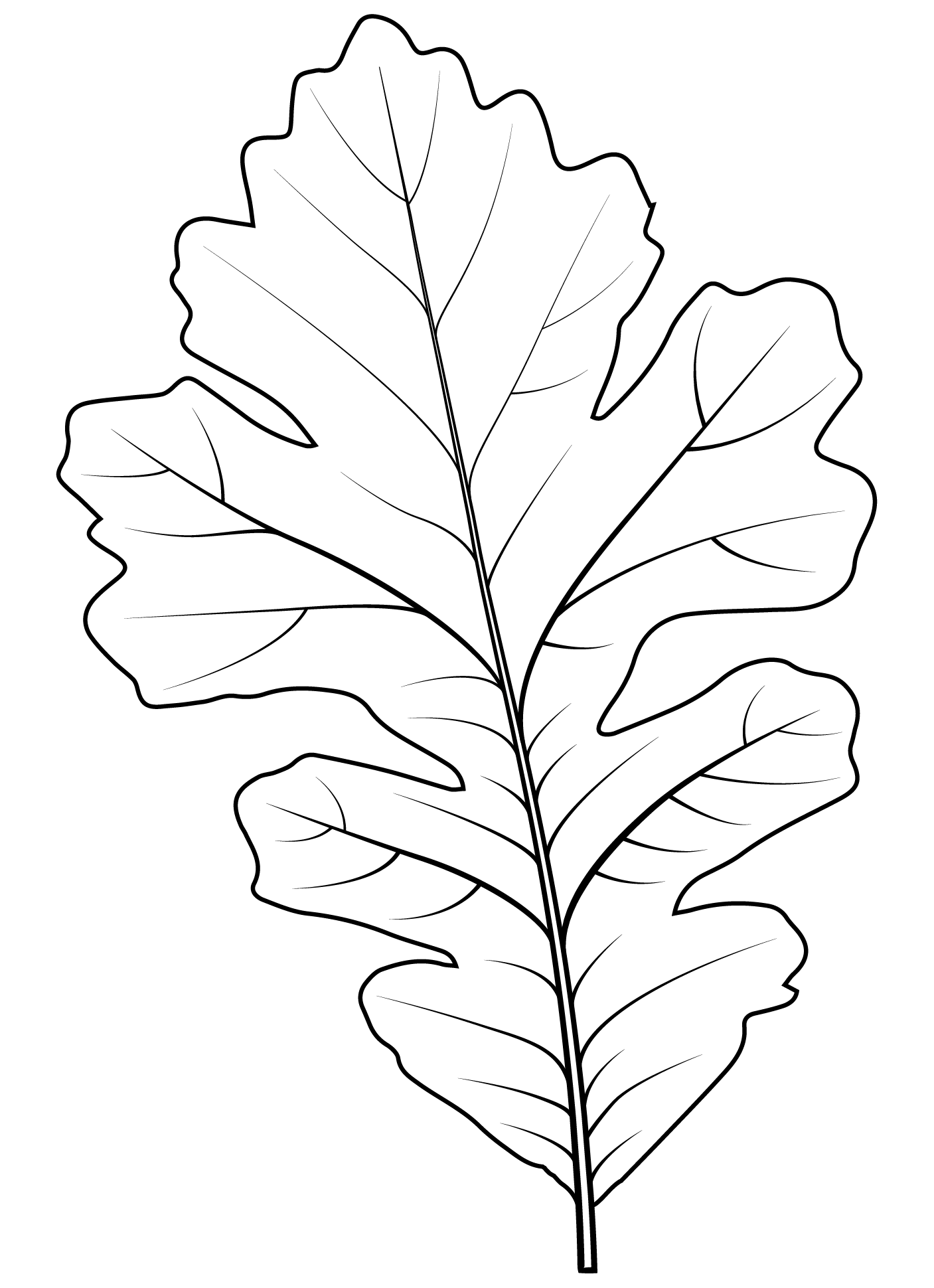 Coloriage Feuille automne