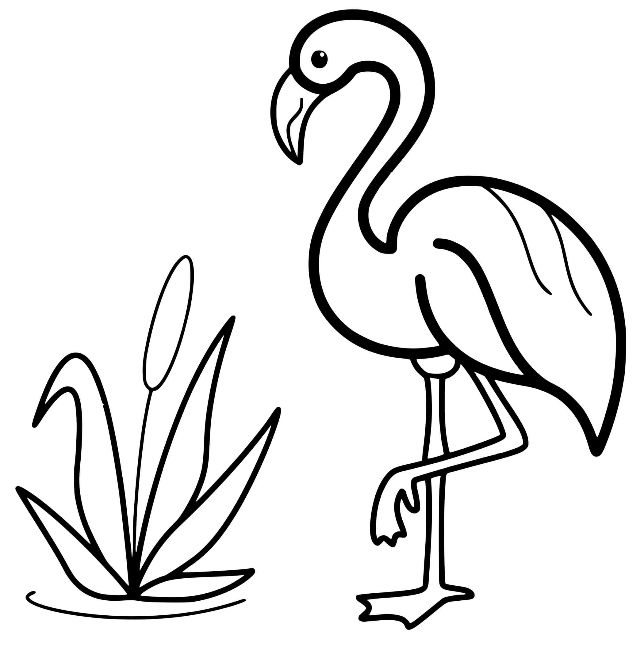 Coloriage Flamant rose