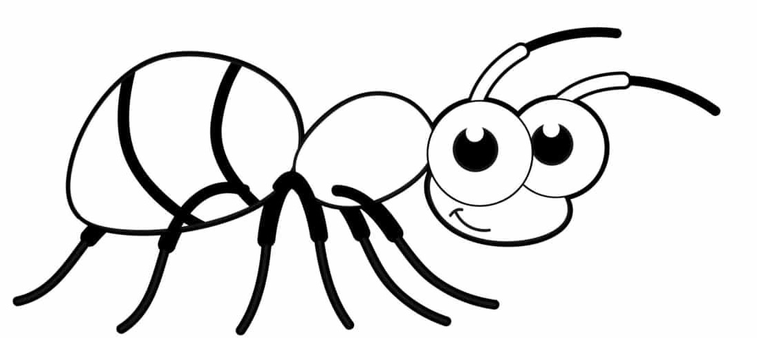 Coloriage Fourmi