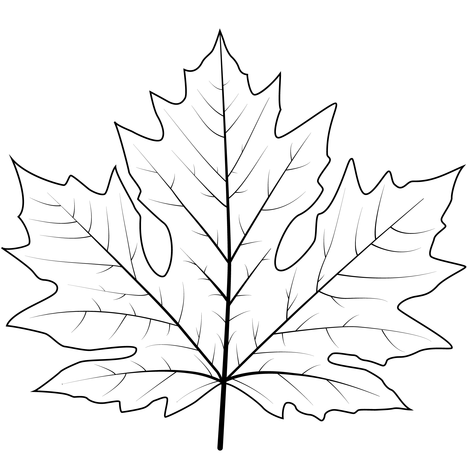 Coloriage Feuille automne