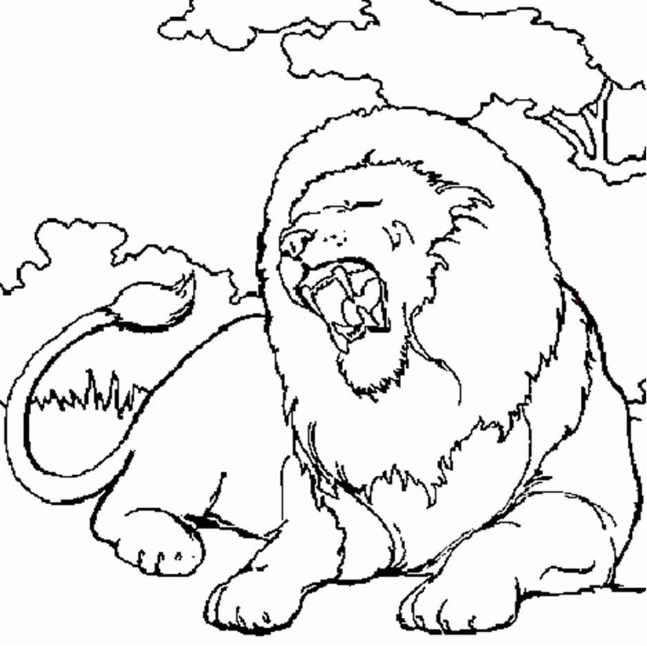 Coloriage Lion