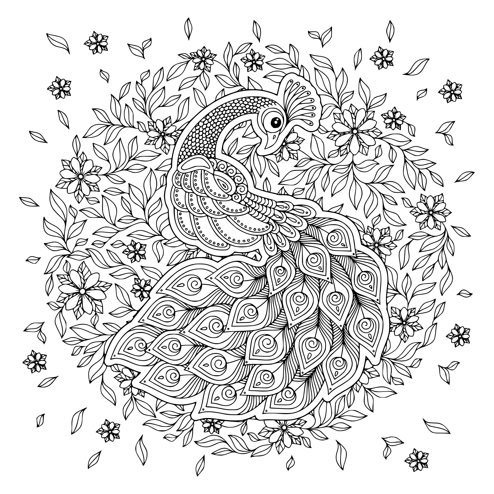 Coloriage Paon Animal Adulte Antistress Noir Et Blanc Png - Adulte à imprimer
