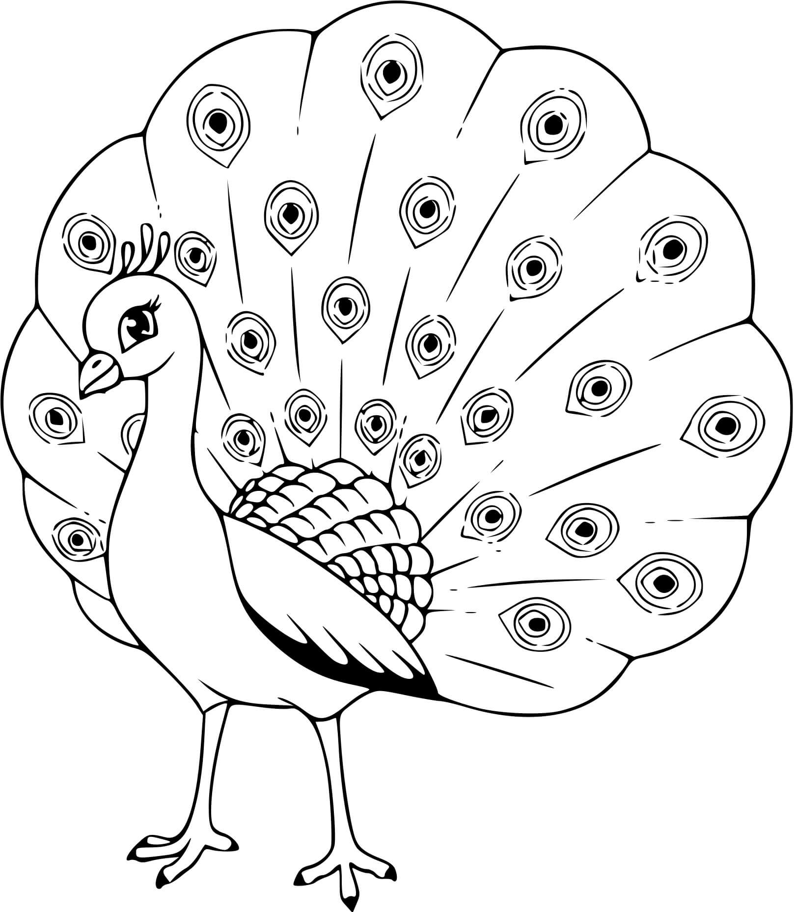 Coloriage Paon