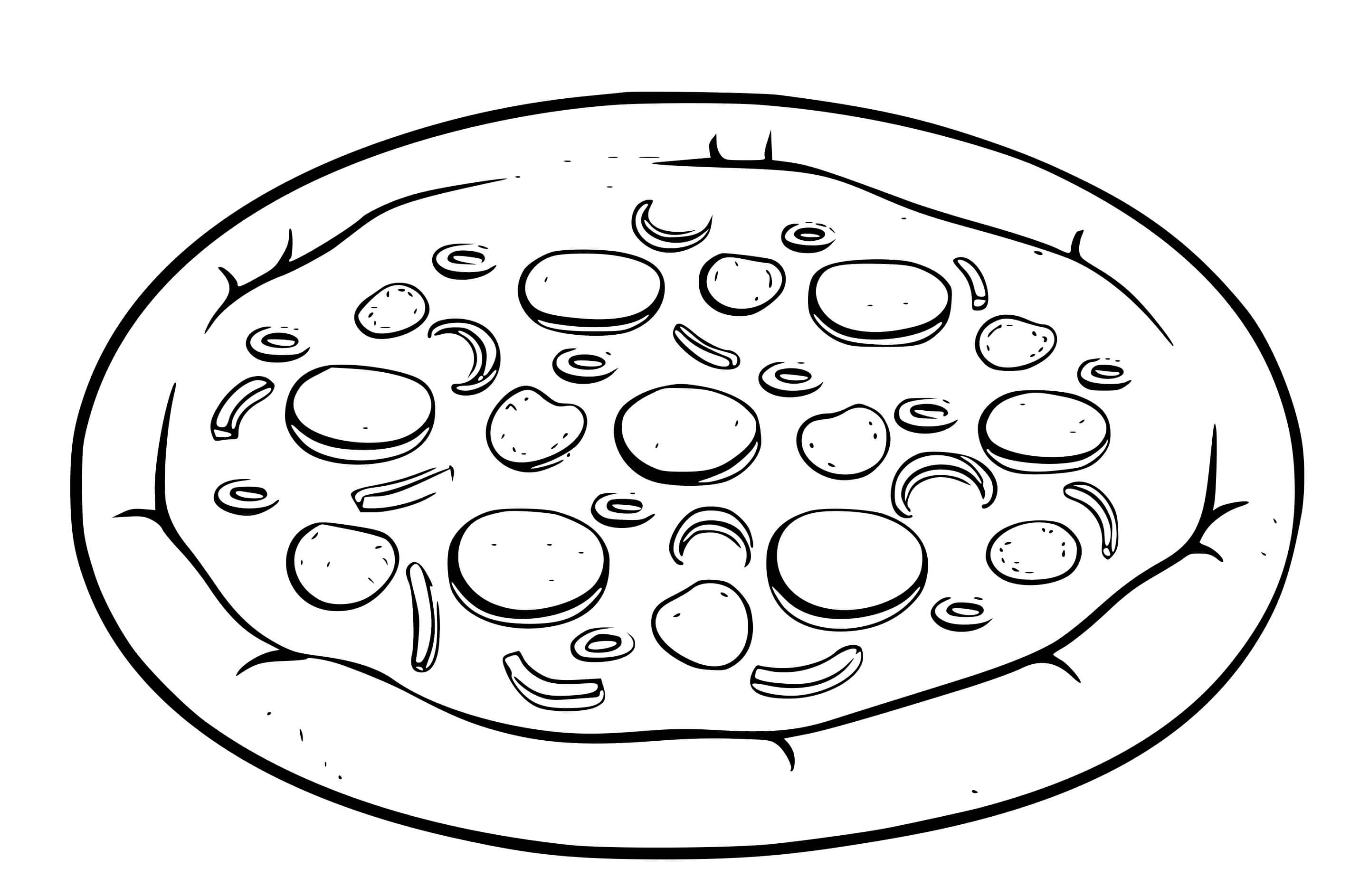 Coloriage Pizza