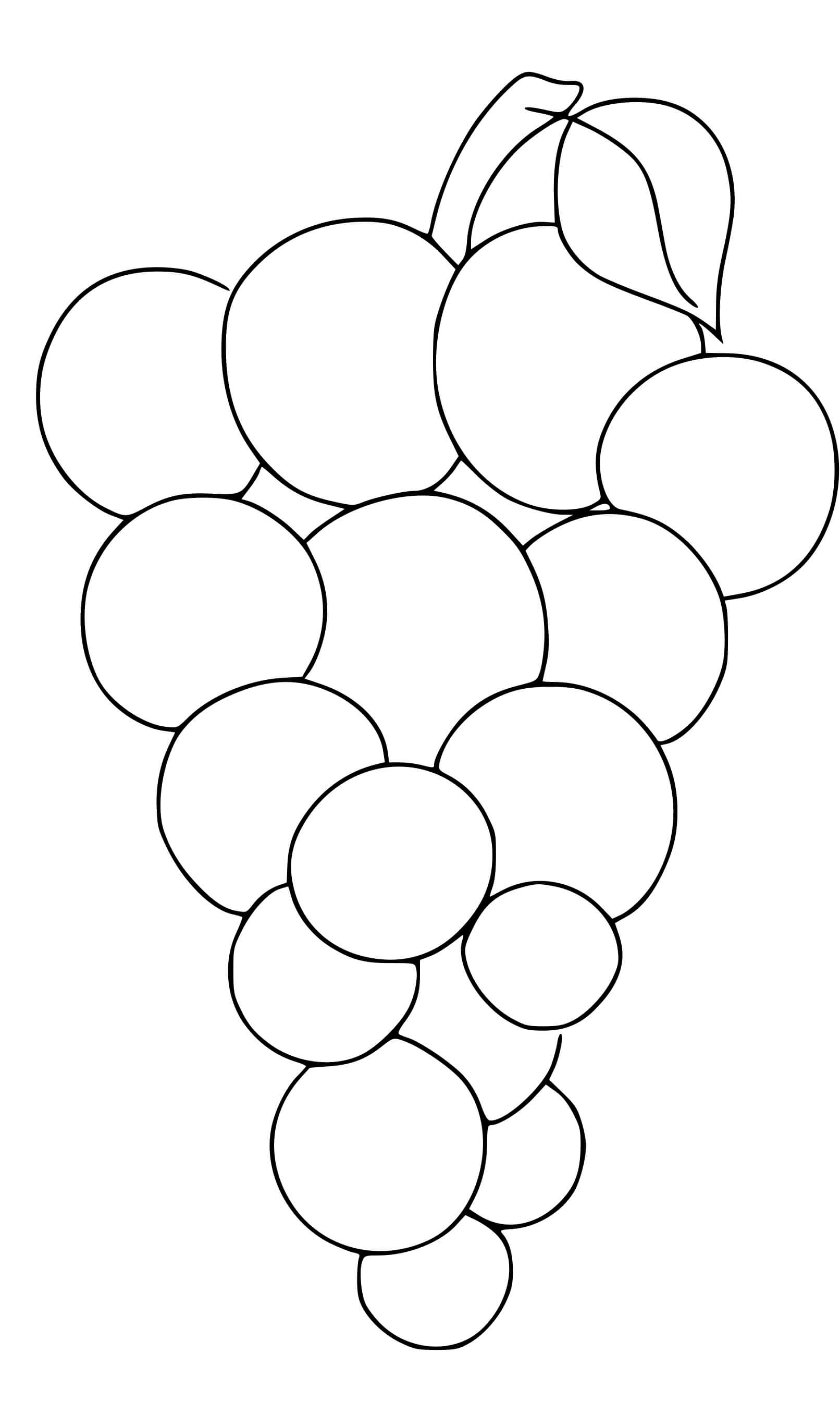 Coloriage Raison - Maternelle à imprimer
