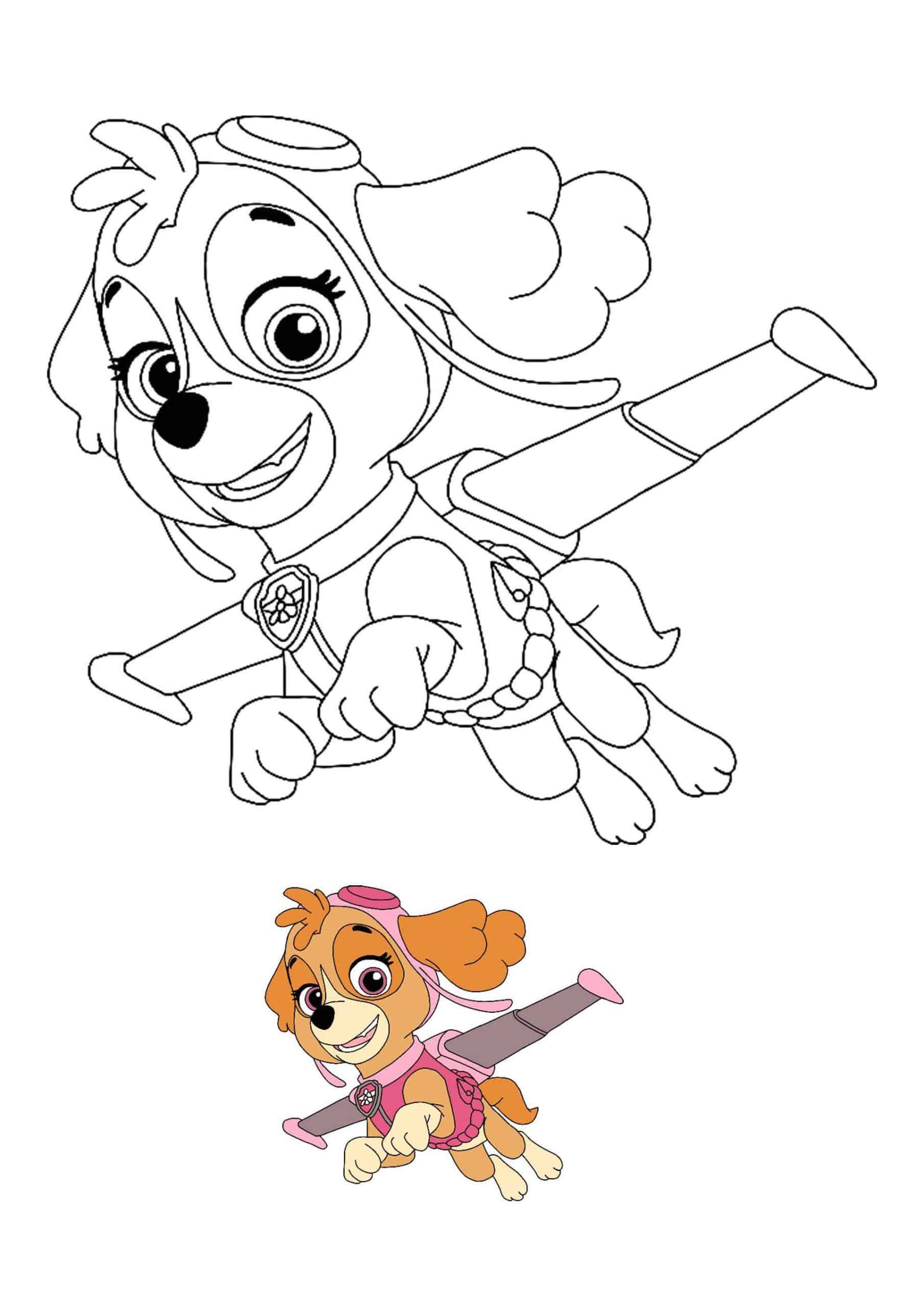 Coloriage Stella Responsable De L'aviation - Pat patrouille à imprimer