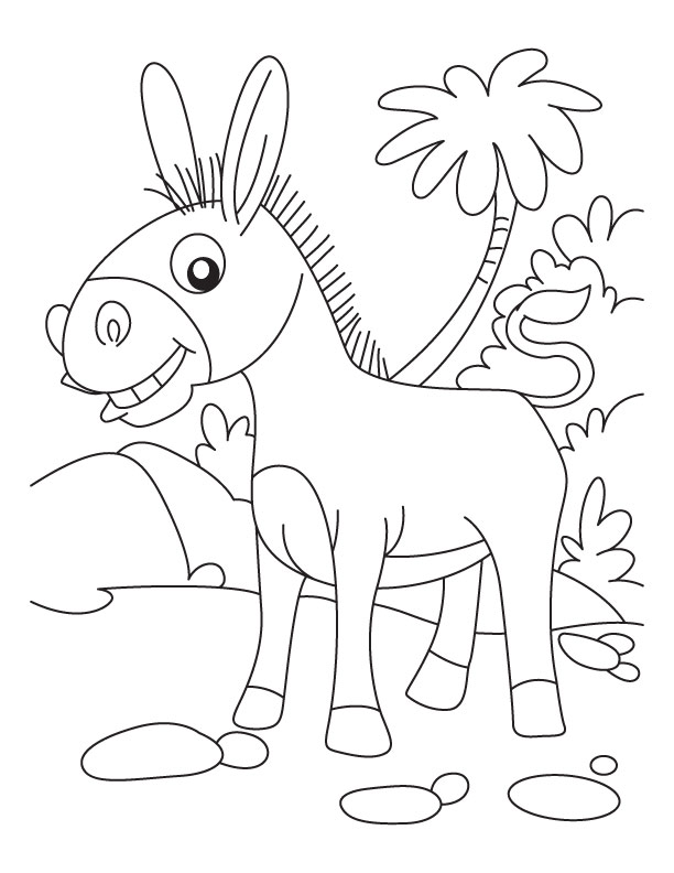 Coloriage Âne