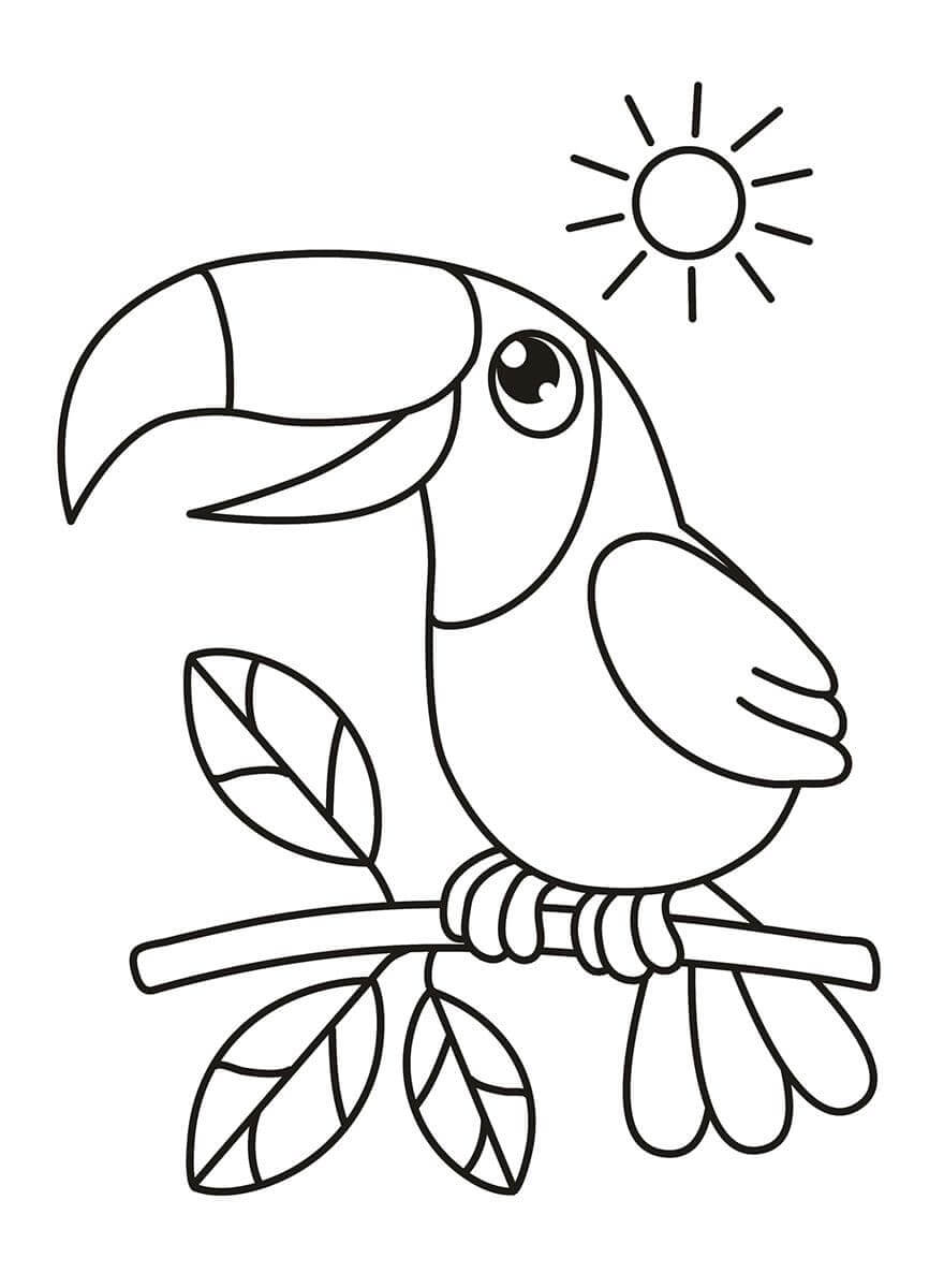 Coloriage Toucan