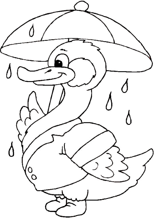 Coloriage Un Canard Avec Un Parapluie - Animaux à imprimer