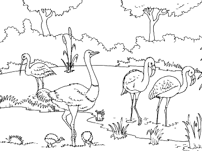 Coloriage Une Autruche En Milieu Naturel - Animaux à imprimer