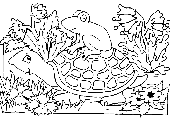 Coloriage Une Grenouille Sur La Carapace De La Tortue - Animaux à imprimer